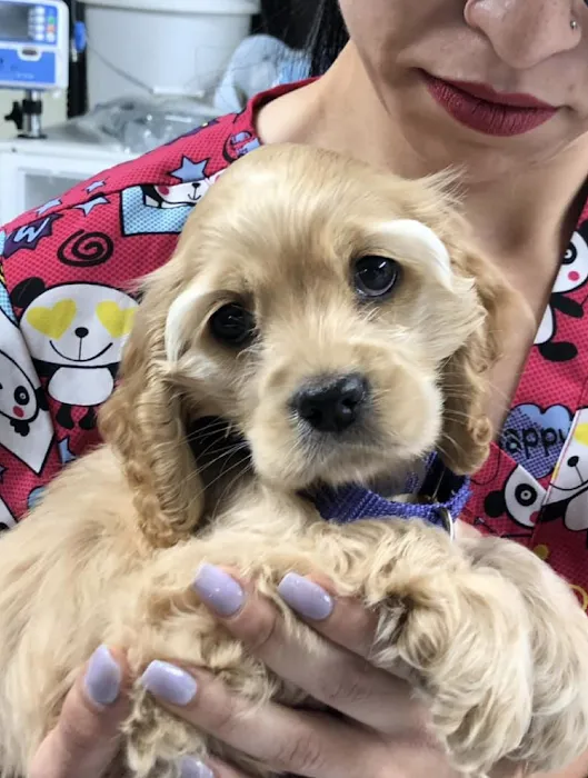 The Pets Place Animal Hospital 12