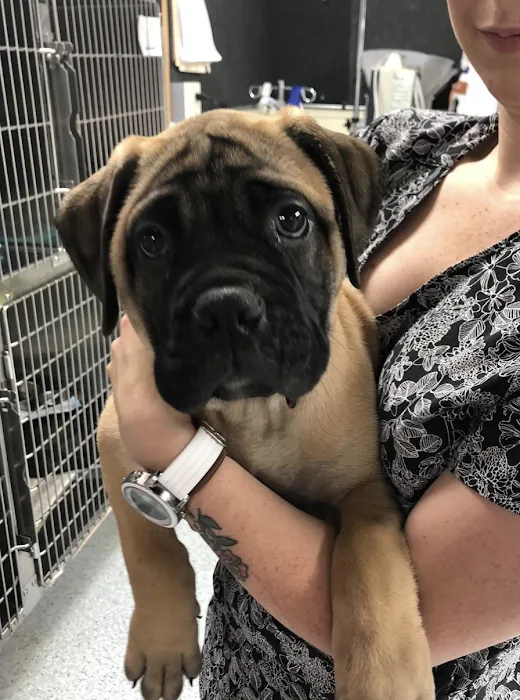 The Pets Place Animal Hospital 12