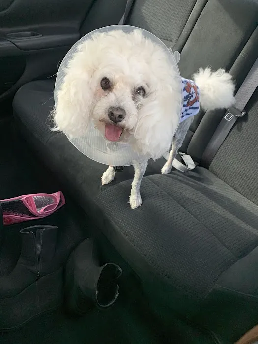 Canyon Crest Animal Hospital 12