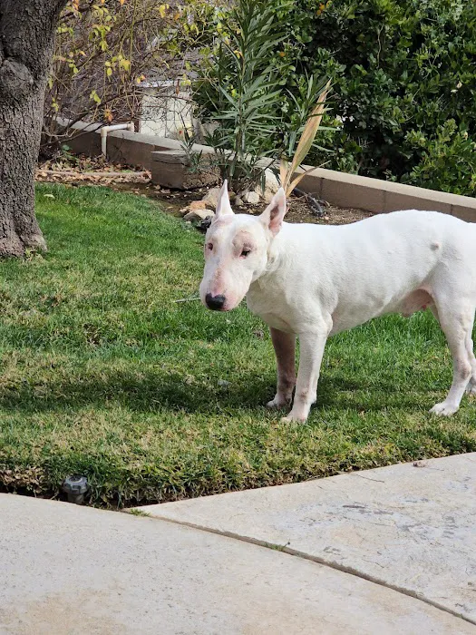 Canyon Crest Animal Hospital 12