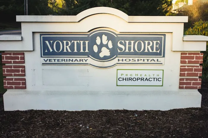 Northshore Veterinary Hospital 12
