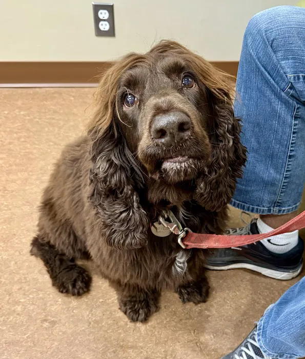 Northshore Veterinary Hospital 12