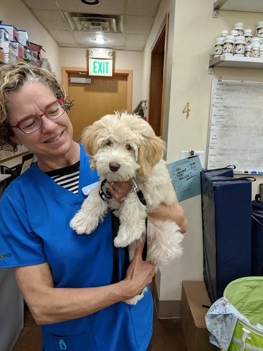 Northshore Veterinary Hospital 12