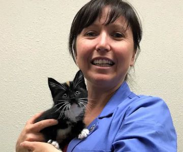 Fairhaven Veterinary Hospital: Schasch Heather DVM