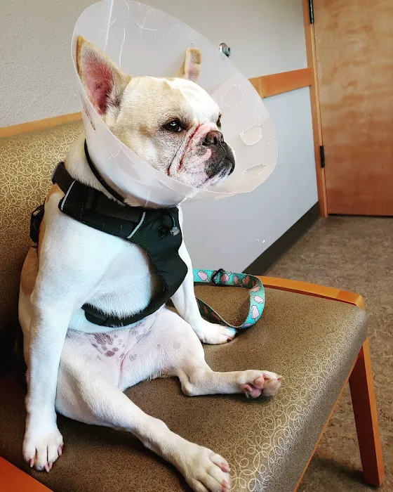 Fairhaven Veterinary Hospital 7
