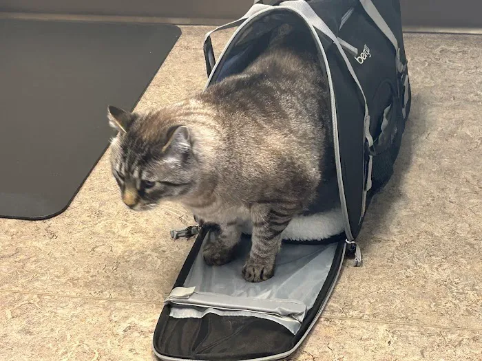 Fairhaven Veterinary Hospital 1