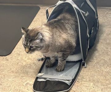 Fairhaven Veterinary Hospital