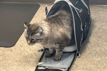 Fairhaven Veterinary Hospital