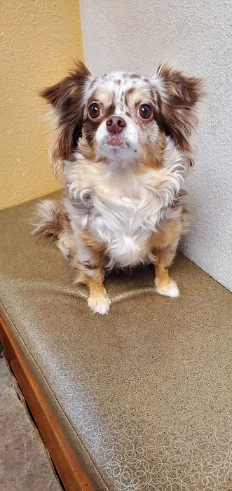 Fairhaven Veterinary Hospital 6