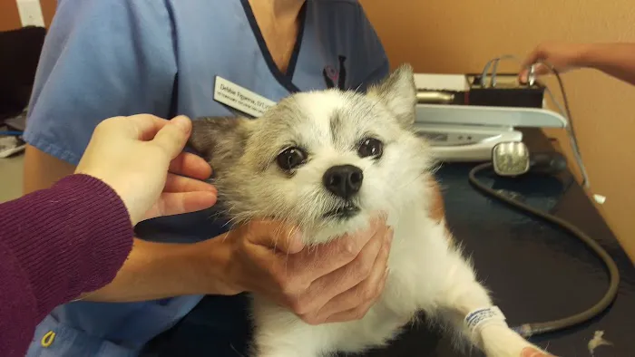 Fairhaven Veterinary Hospital 4