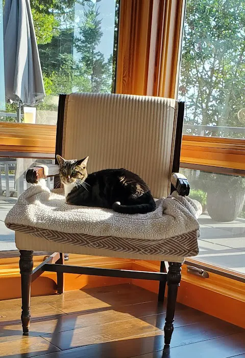 Fairhaven Veterinary Hospital 3