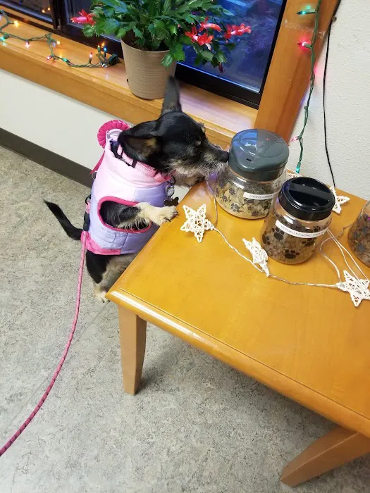 Fairhaven Veterinary Hospital 10