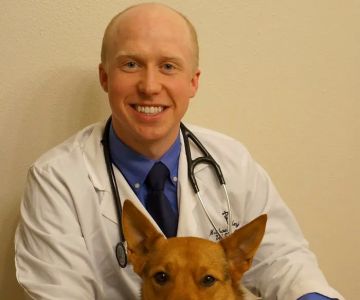 Fairhaven Veterinary Hospital: Hinckley Mike DVM