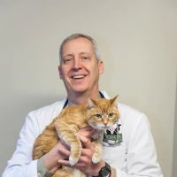 Fairhaven Veterinary Hospital: Kummer Mark DVM ico