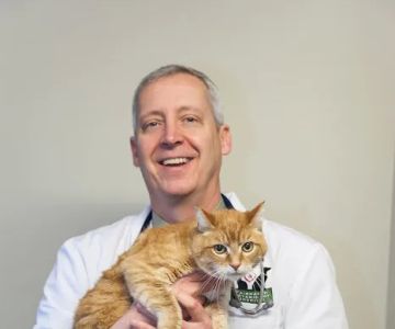 Fairhaven Veterinary Hospital: Kummer Mark DVM