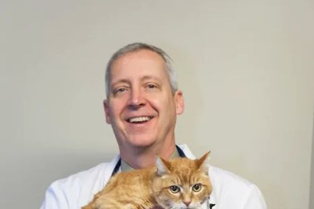 Fairhaven Veterinary Hospital: Kummer Mark DVM