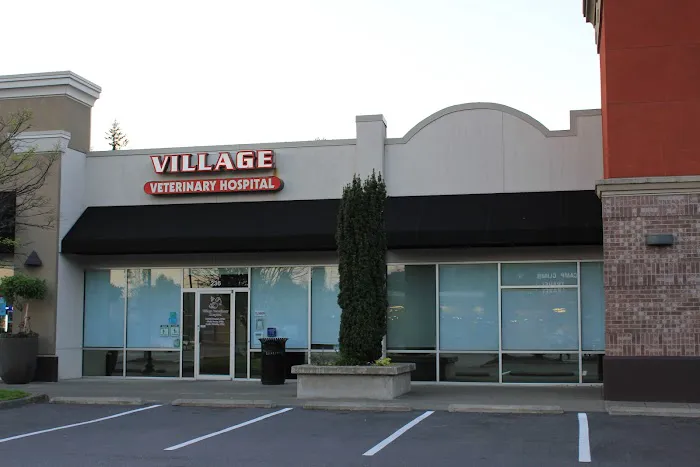 Village Veterinary Hospital 12