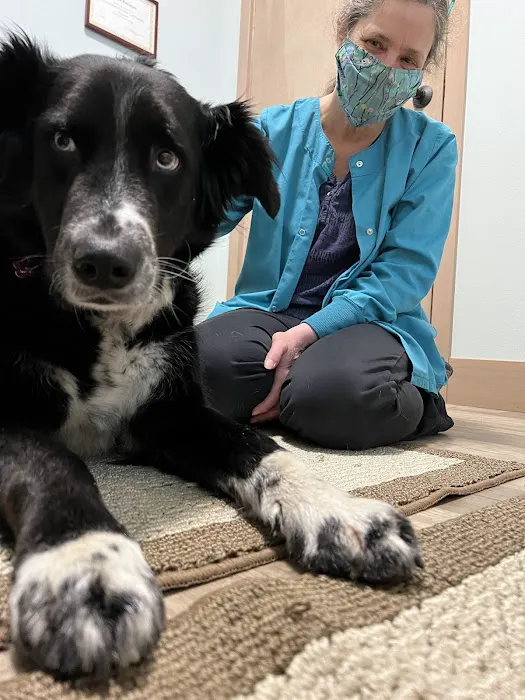 NW Holistic Pet Care 12