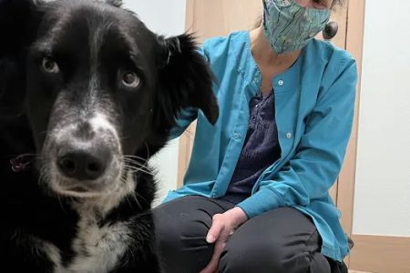 NW Holistic Pet Care
