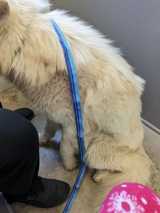 Fayette County Vet Clinic Inc 12
