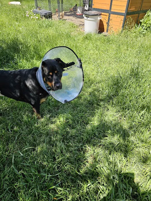 Fayette County Vet Clinic Inc 12
