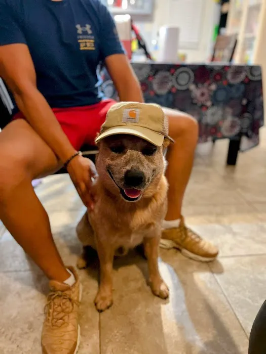 Welch Veterinary Hospital 12