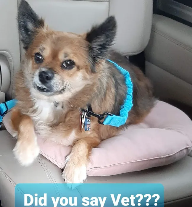 Welch Veterinary Hospital 12