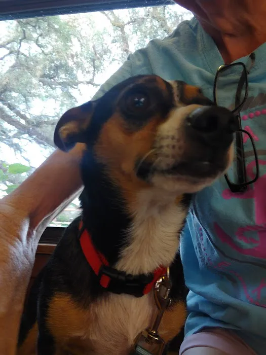 Welch Veterinary Hospital 12