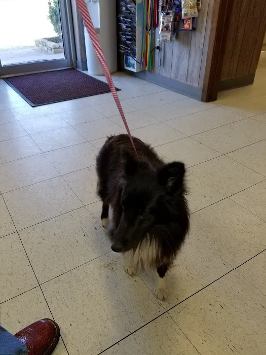 Flatonia Veterinary Clinic 12