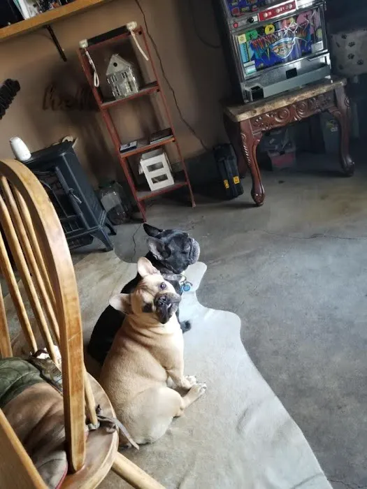 Flatonia Veterinary Clinic 12