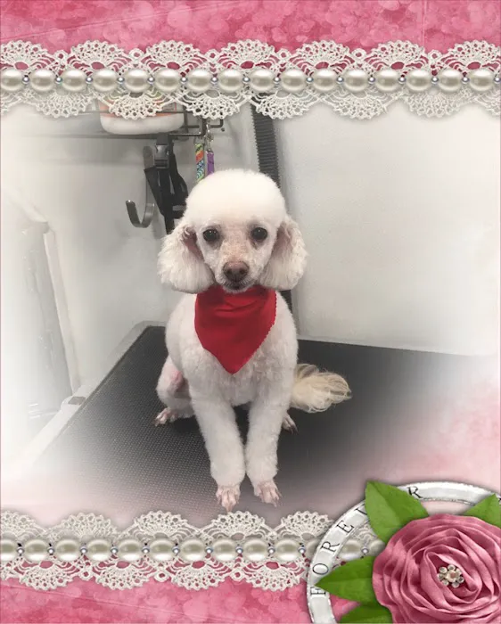 McAda Veterinary Clinic 12