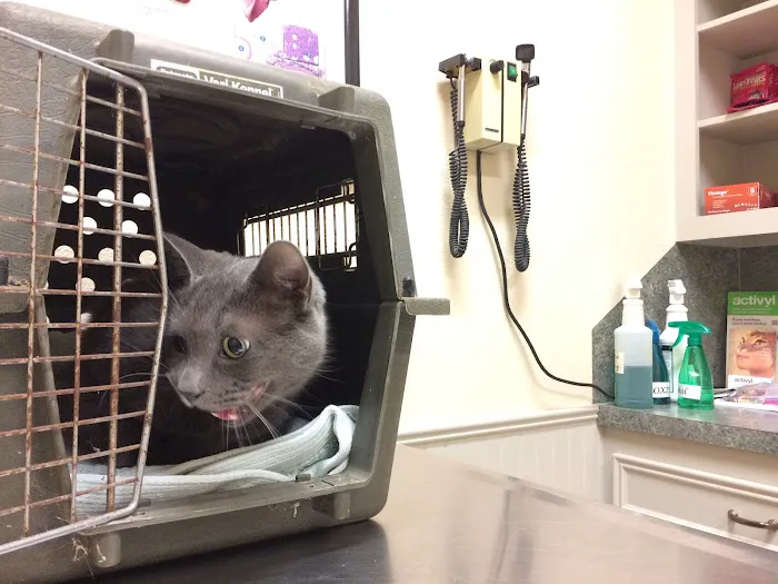 Hallettsville Veterinary Hospital 10