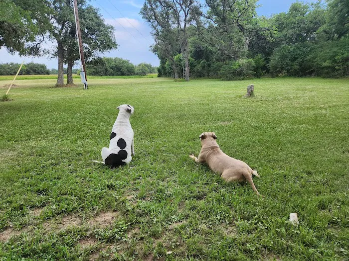 Hallettsville Veterinary Hospital 9
