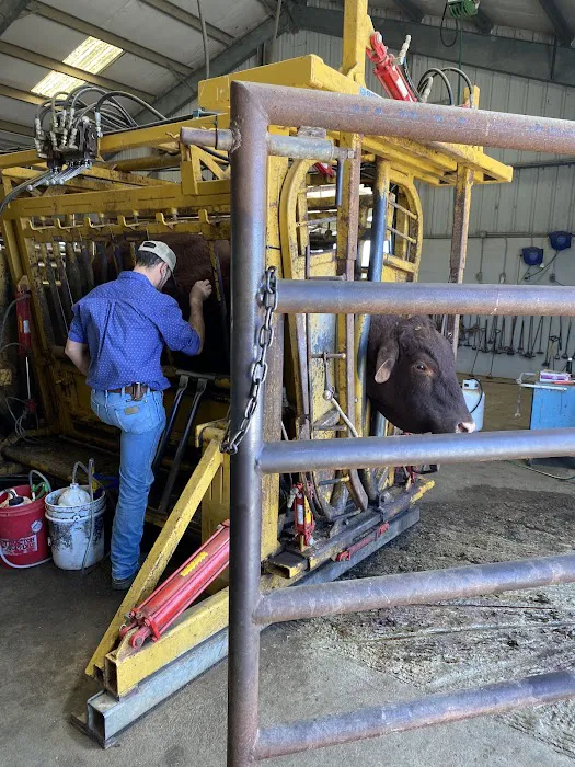 Hallettsville Veterinary Hospital 5