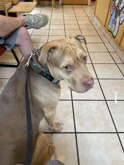 Manorville Pet Vet 12