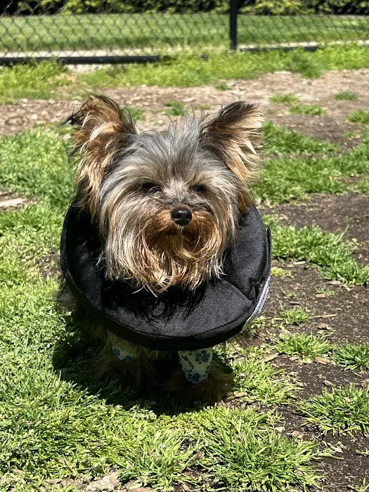 East End Veterinary Center 6
