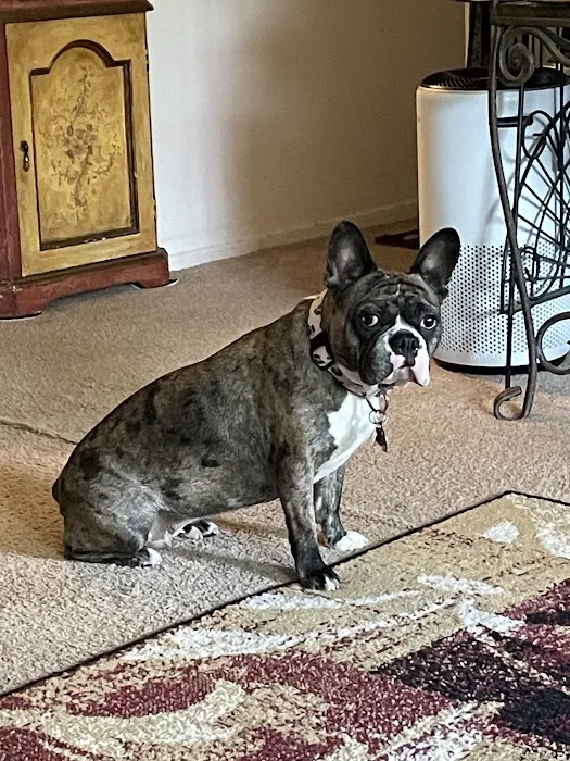East End Veterinary Center 8