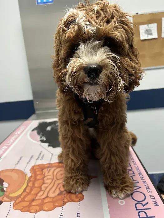 East End Veterinary Center 1