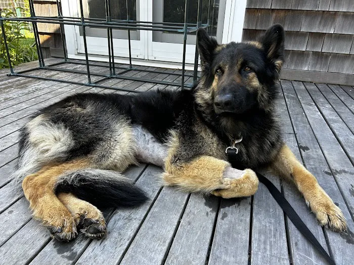 East End Veterinary Center 4