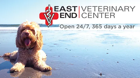 East End Veterinary Center 10