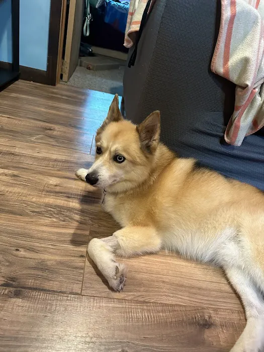 Vetco Total Care Animal Hospital 7