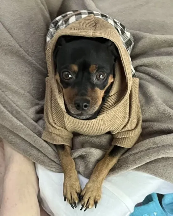 Vetco Total Care Animal Hospital 8