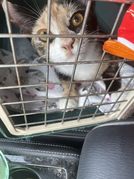 Vetco Total Care Animal Hospital 4