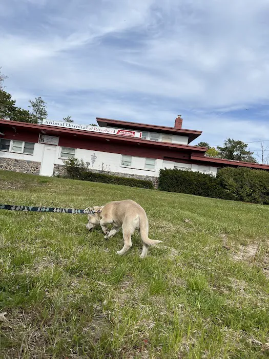 Animal Hospital of Riverhead 6