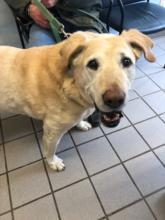 Peconic Bay Animal Hospital 10