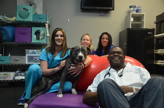 Healing Hands 4 Paws Shirley Long Island 12