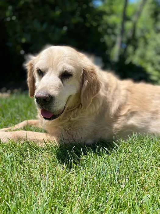 Shirley Veterinary Hospital Long Island 12