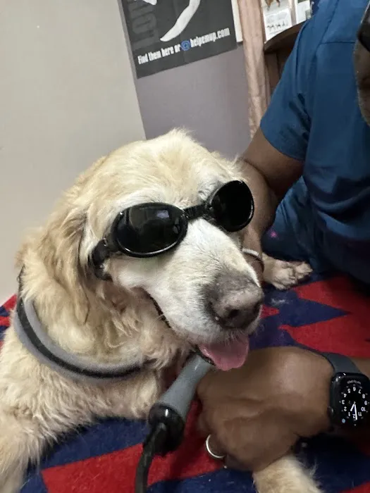 Shirley Veterinary Hospital Long Island 12