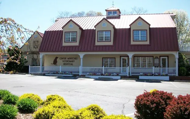 Center Moriches Veterinary Hospital 12