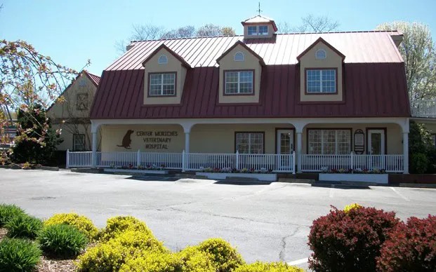 Center Moriches Veterinary Hospital 12